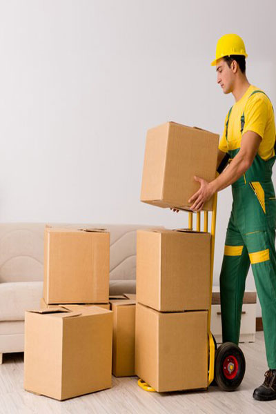 About Mahavir Logistics Solution